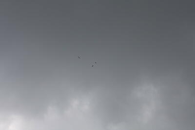 IMG 1143